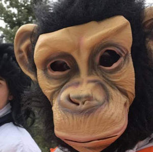 Meet your Posher, Caden